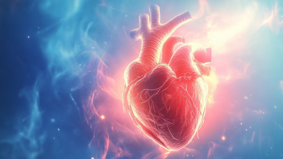 Nuevas recomendaciones sobre colesterol: qué cambió y cuáles son las claves para prevenir enfermedades cardiovasculares